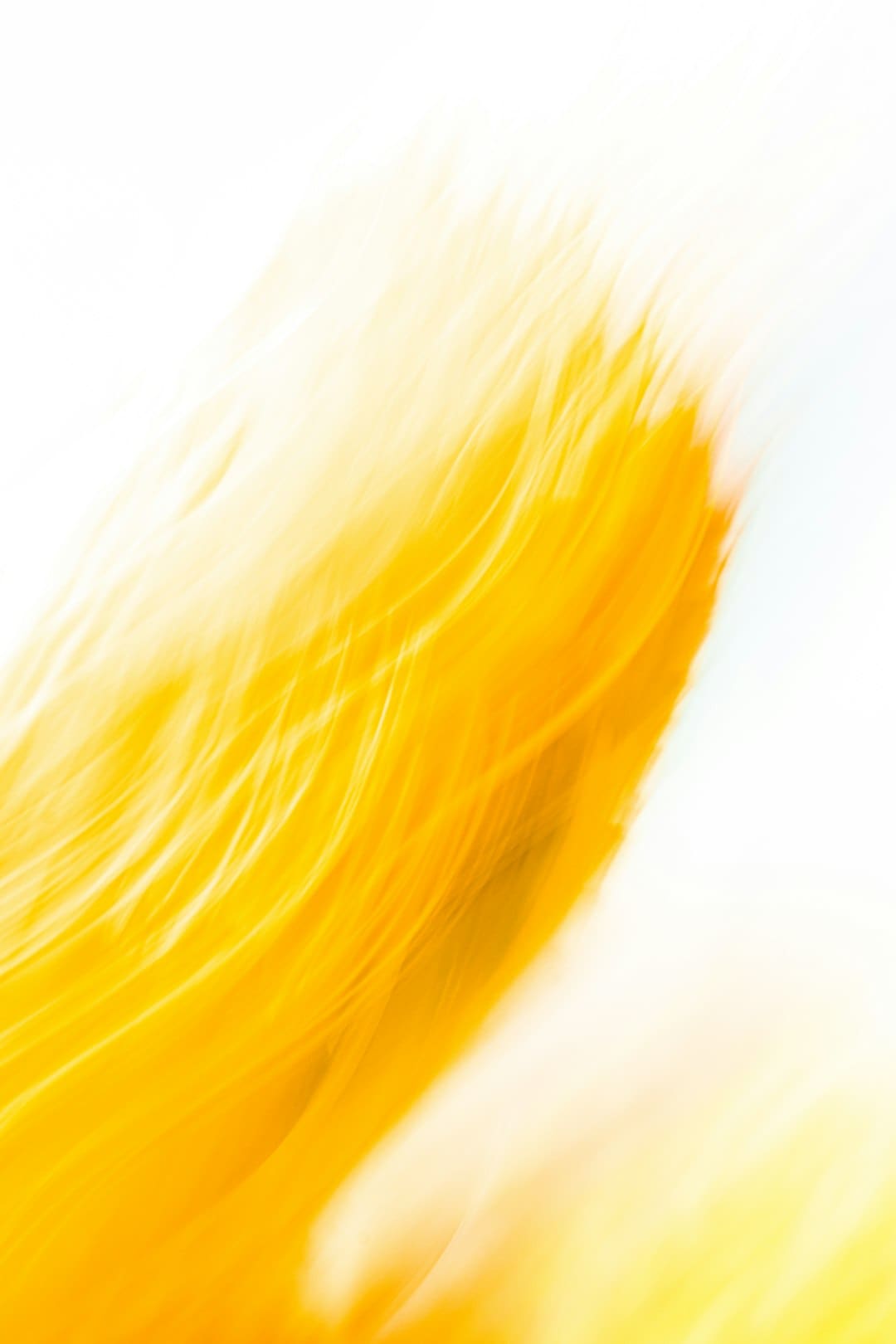 http://n.sinaimg.cn/default/1_img/upload/3933d981/144/w540h404/20180316/fXTW-fyshfuq0800689.jpg?zdy